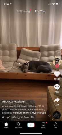 Exemple de vidéo courte de la vidéo TikTok